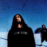 Pissing Razors - Fields Of Disbelief